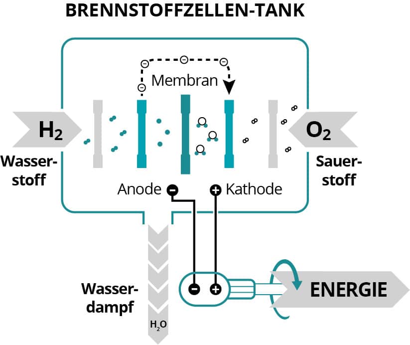 Funktionsweise Brennstoffzelle Wasserstoff
