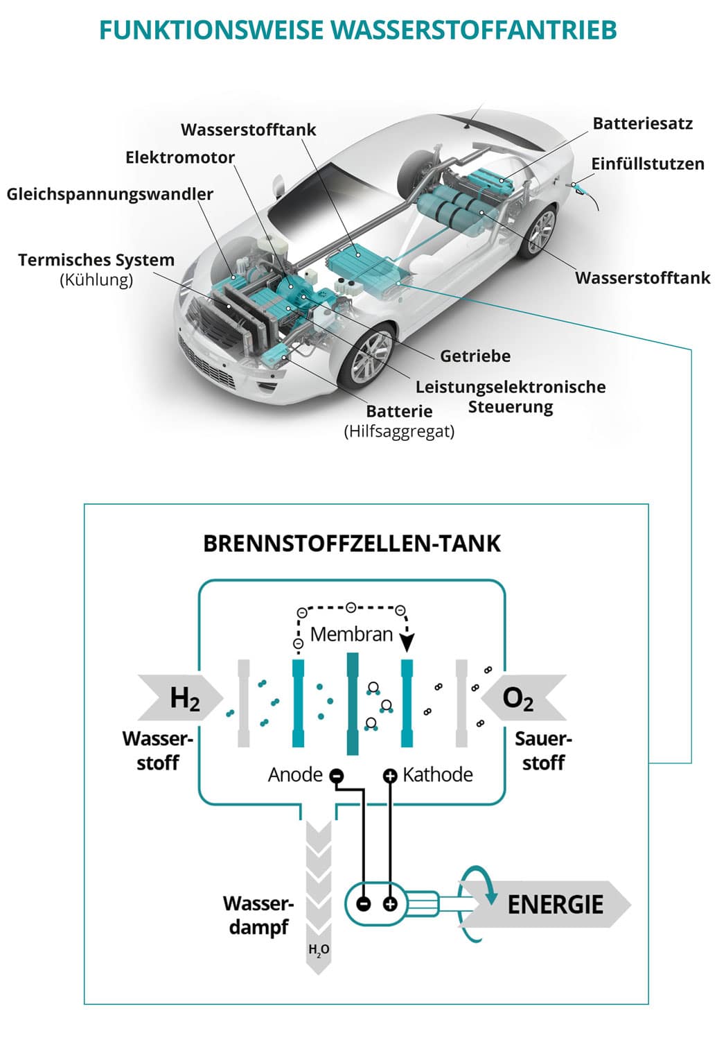 Hydrogen cars advantages and disadvantages graphic