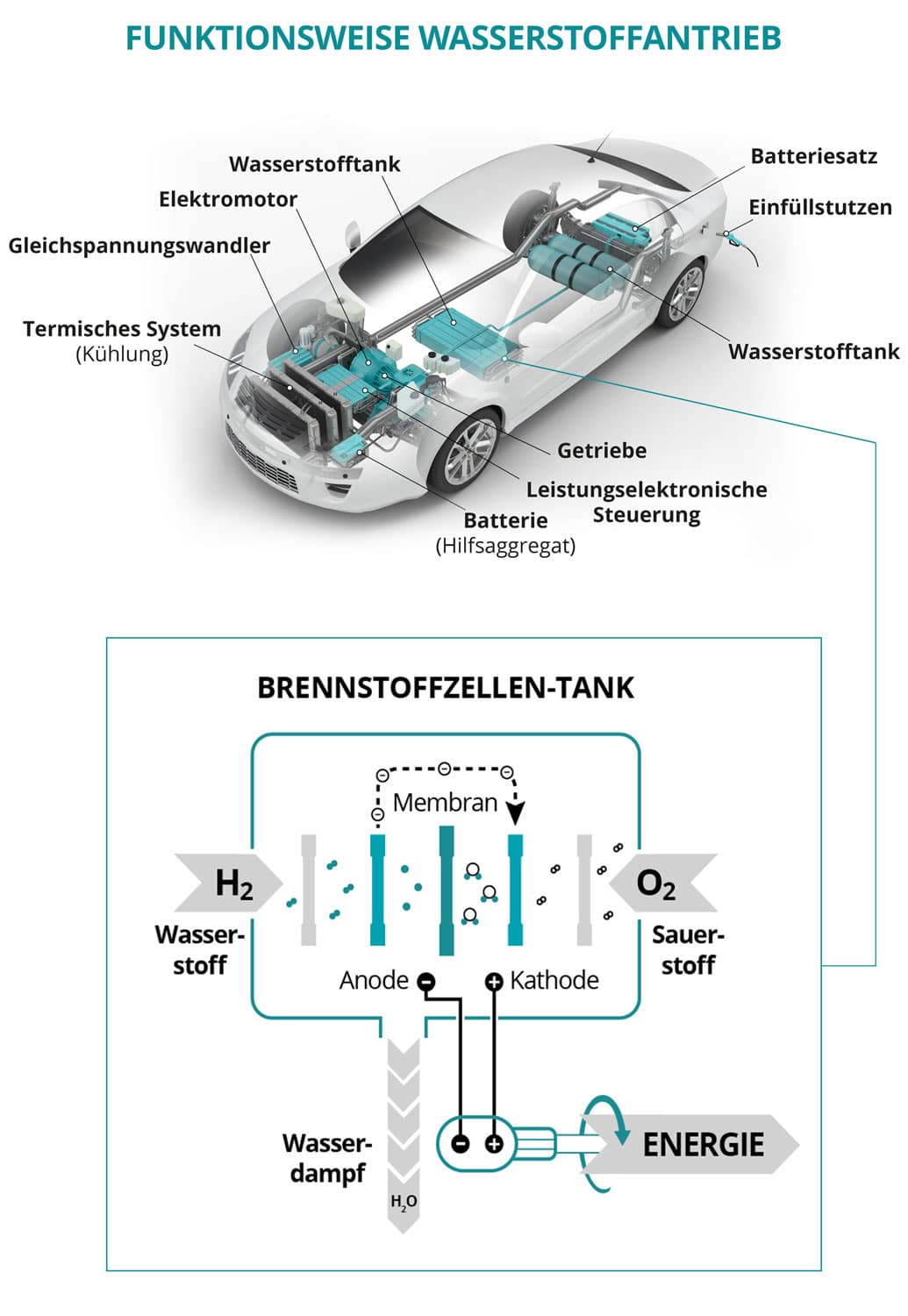 Wasserstoffautos Vor- und Nachteile Grafik